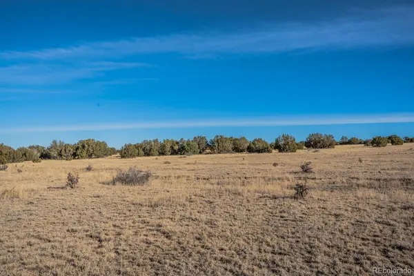 24 Hatchet Ranch, Colorado City, CO 81019