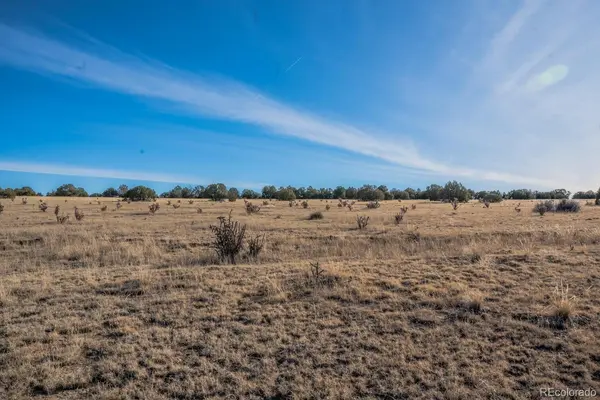 24 Hatchet Ranch, Colorado City, CO 81019