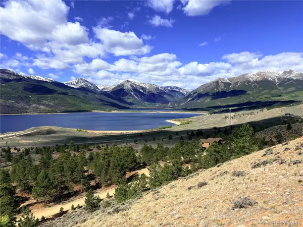 10007 Ross DR, Twin Lakes, CO 81251