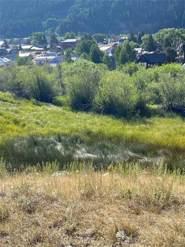 Snowden ST, Silverton, CO 81433