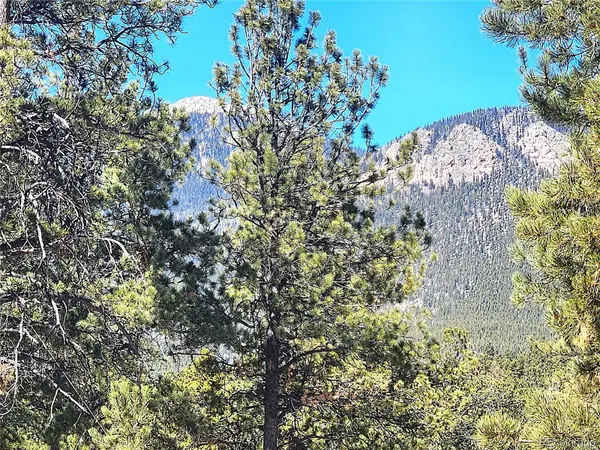 116 Neal ST, Bailey, CO 80421