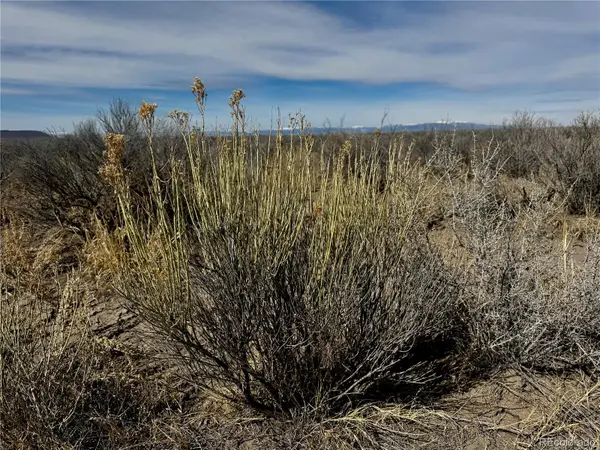 Lot 39 Big Bend RD, Blanca, CO 81123