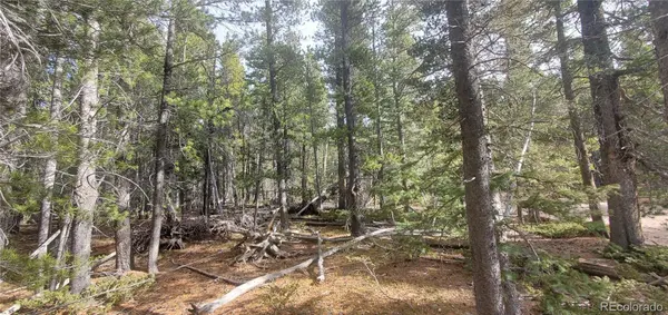 Lot 3246 Zipf LN, Fort Garland, CO 81133