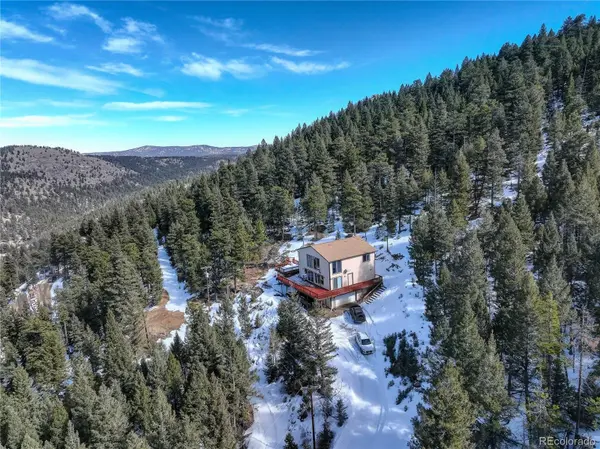 33804 Bergen View TRL, Evergreen, CO 80439