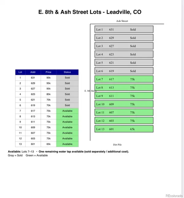 613 E 8th ST, Leadville, CO 80461