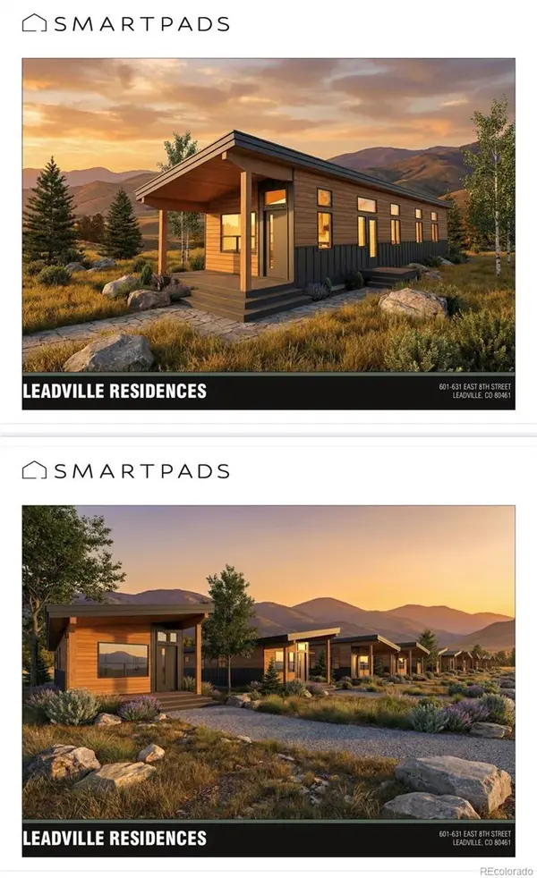 613 E 8th ST, Leadville, CO 80461