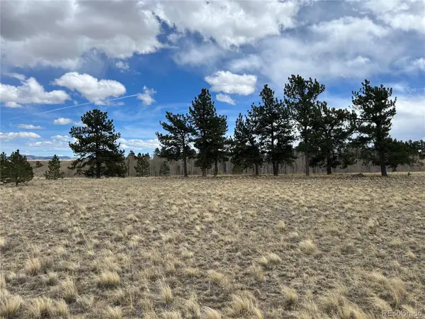 304 Brahma CIR, Hartsel, CO 80449