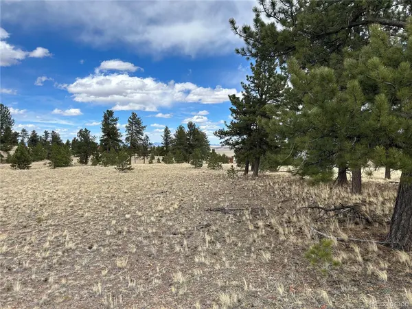 304 Brahma CIR, Hartsel, CO 80449