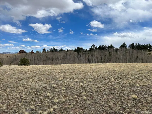 304 Brahma CIR, Hartsel, CO 80449