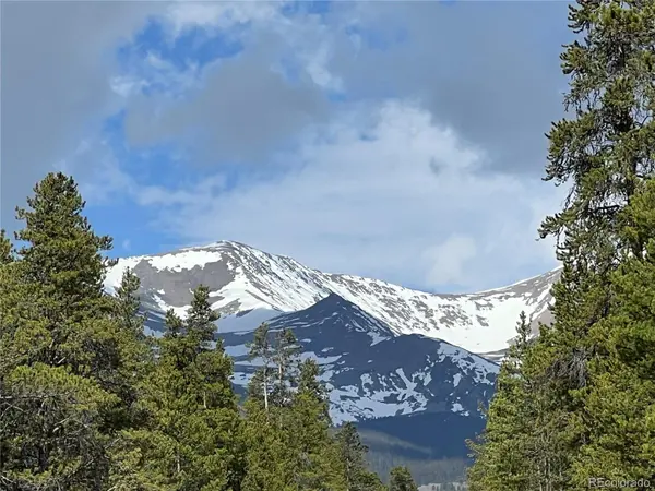 160 Birch DR, Twin Lakes, CO 81251