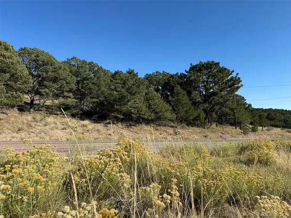 Lot 48,49 Copper Gultch, Cotopaxi, CO 81223