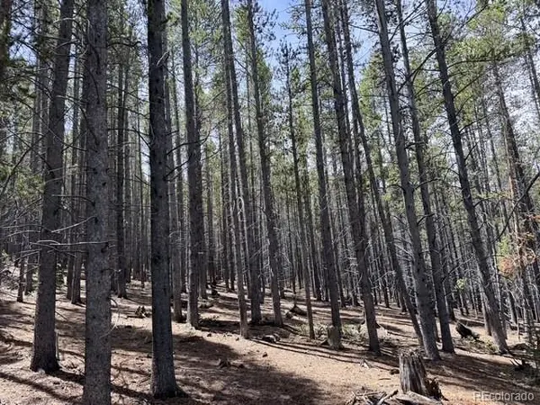 0064 CR 534, Breckenridge, CO 80424