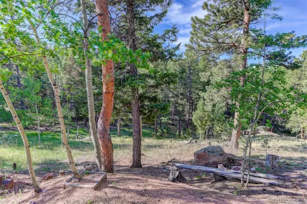 4 Honeysuckle RD, Woodland Park, CO 80863