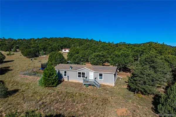 47 Bob Richards DR, Cotopaxi, CO 81223