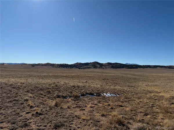 388/446 Cohonina RD, Hartsel, CO 80449