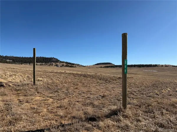 388/446 Cohonina RD, Hartsel, CO 80449
