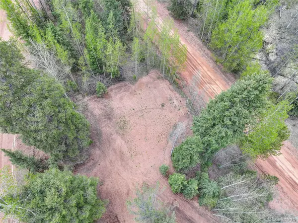 416 Willow RD, Divide, CO 80814