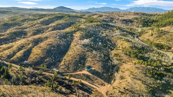 3631 Cr 33 DR #33, Florissant, CO 80816