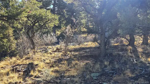 Lot 5106 Redler RD, Fort Garland, CO 81133