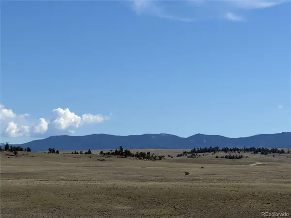 3530 Goldenburg Canyon RD, Hartsel, CO 80449