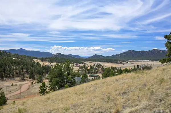 81 High Pasture RD, Florissant, CO 80816