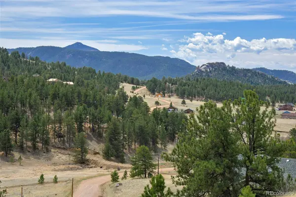 81 High Pasture RD, Florissant, CO 80816
