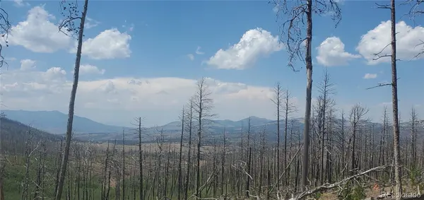 Lot's 854,855 Slaoui PL, Fort Garland, CO 81133