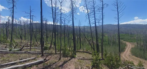 Lot's 854,855 Slaoui PL, Fort Garland, CO 81133