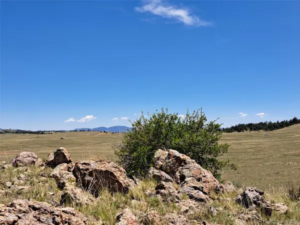6630 Atoka RD, Hartsel, CO 80449