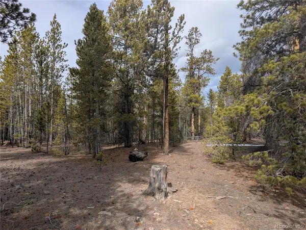 179 Cedar DR, Twin Lakes, CO 80461