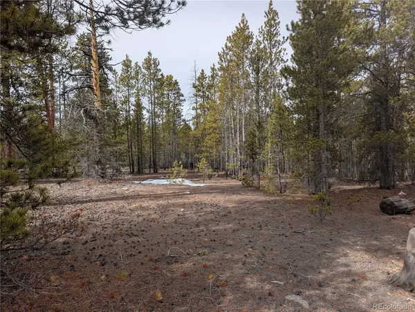 179 Cedar DR, Twin Lakes, CO 80461