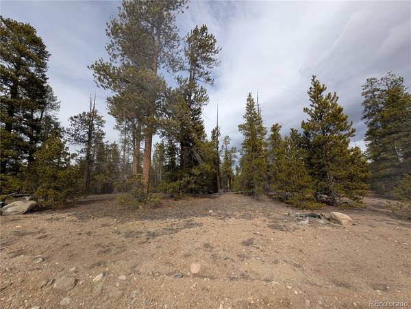 179 Cedar DR, Twin Lakes, CO 80461