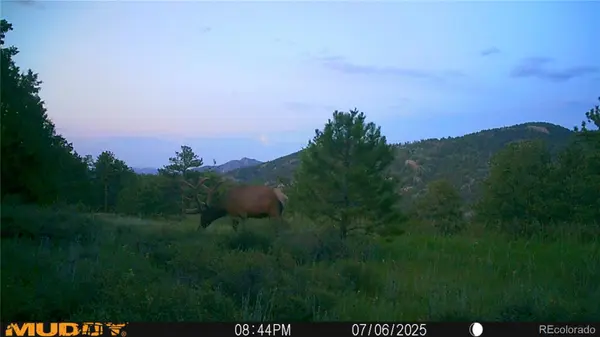 591599 Soul Shine RD, Drake, CO 80515