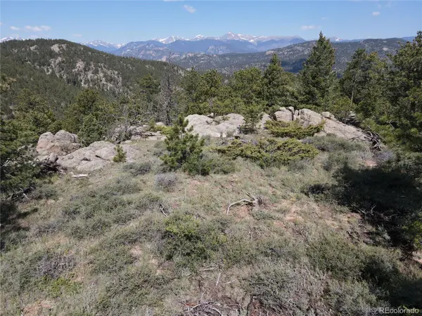 591599 Soul Shine RD, Drake, CO 80515