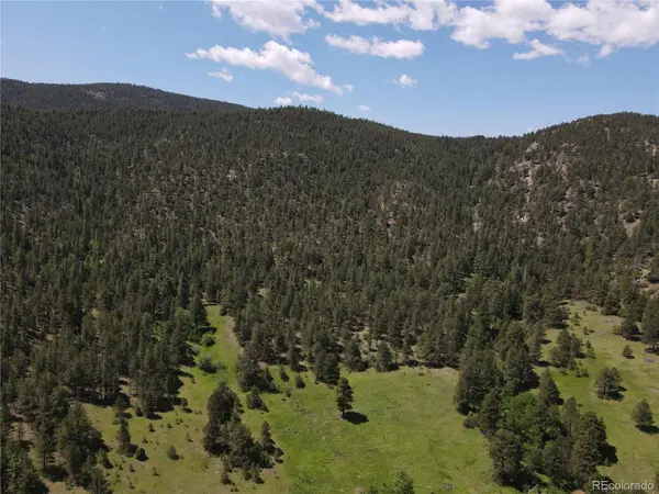 591599 Soul Shine RD, Drake, CO 80515