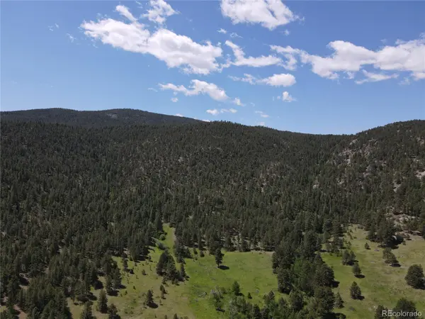 591599 Soul Shine RD, Drake, CO 80515
