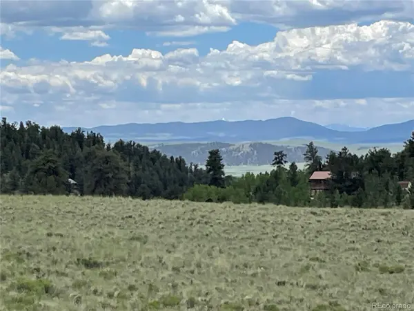 853 La Plata DR, Hartsel, CO 80449
