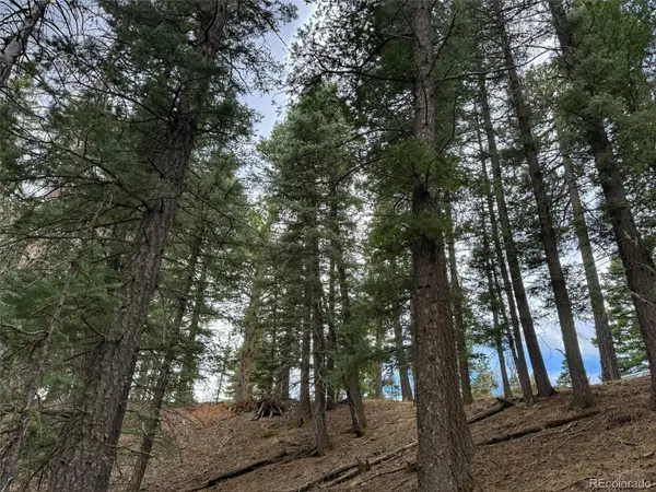 132 Aspen Acres, Rye, CO 81252