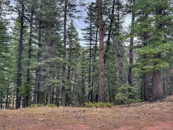 132 Aspen Acres, Rye, CO 81252