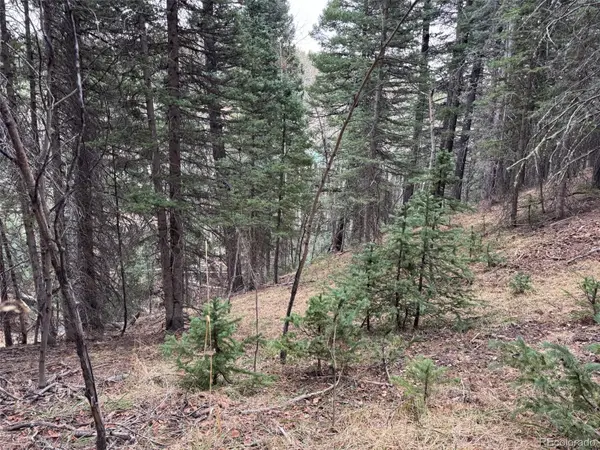 132 Aspen Acres, Rye, CO 81252
