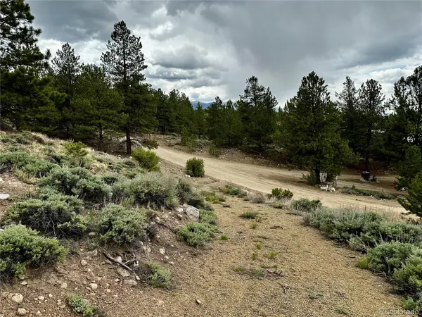 9 Mount Hope DR, Twin Lakes, CO 81251