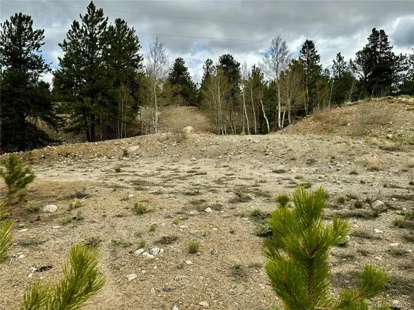 9 Mount Hope DR, Twin Lakes, CO 81251
