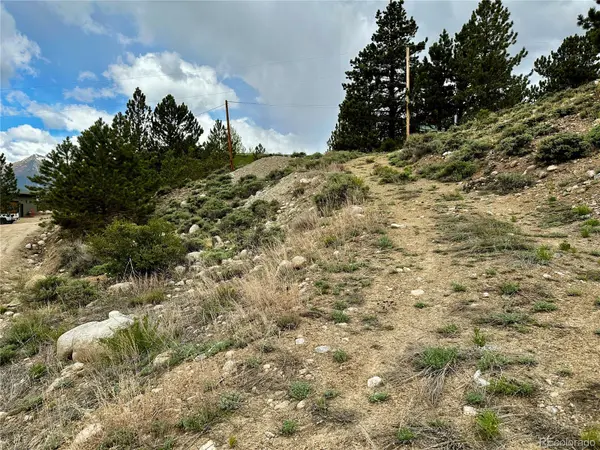 9 Mount Hope DR, Twin Lakes, CO 81251