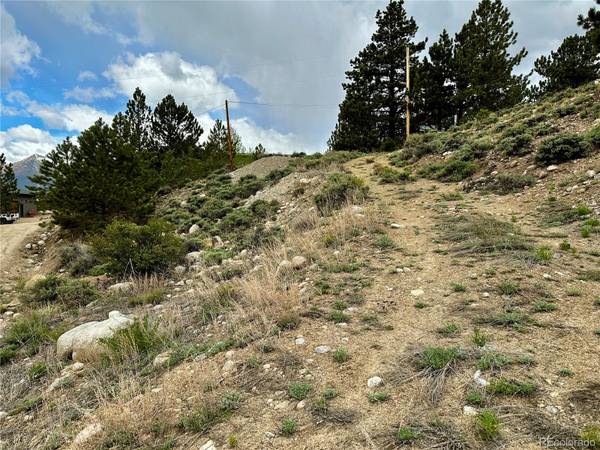 9 Mount Hope DR, Twin Lakes, CO 81251