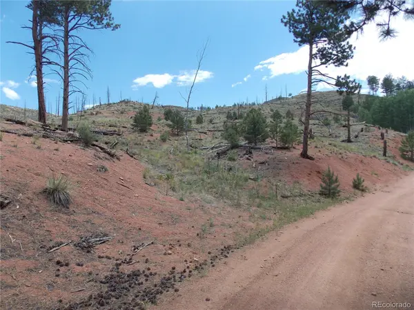 14691 Crooked Trail RD, Woodland Park, CO 80863