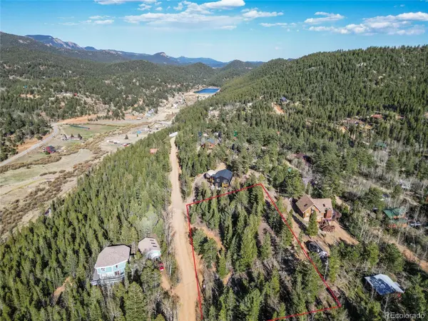 272 Wise RD, Bailey, CO 80421