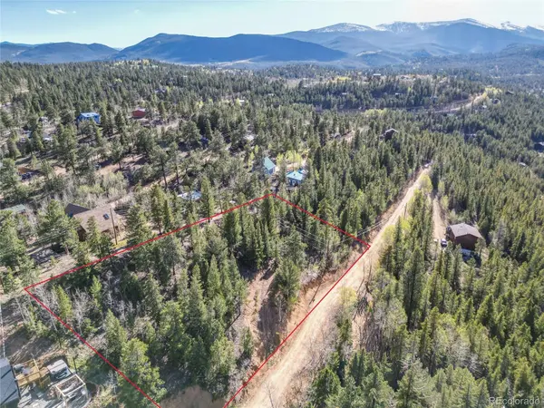272 Wise RD, Bailey, CO 80421