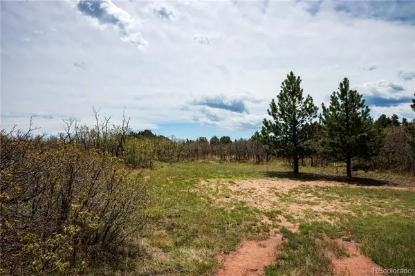 6128 Columbine CT, Larkspur, CO 80118