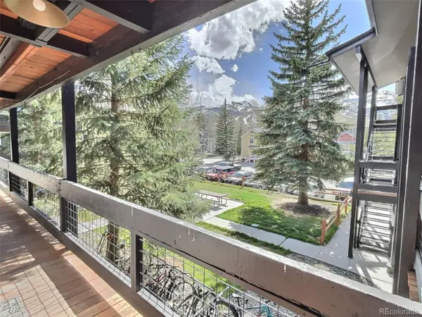 214 S Harris ST #209, Breckenridge, CO 80424