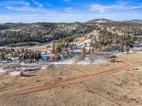 546 Alpine Meadows LN, Florissant, CO 80816